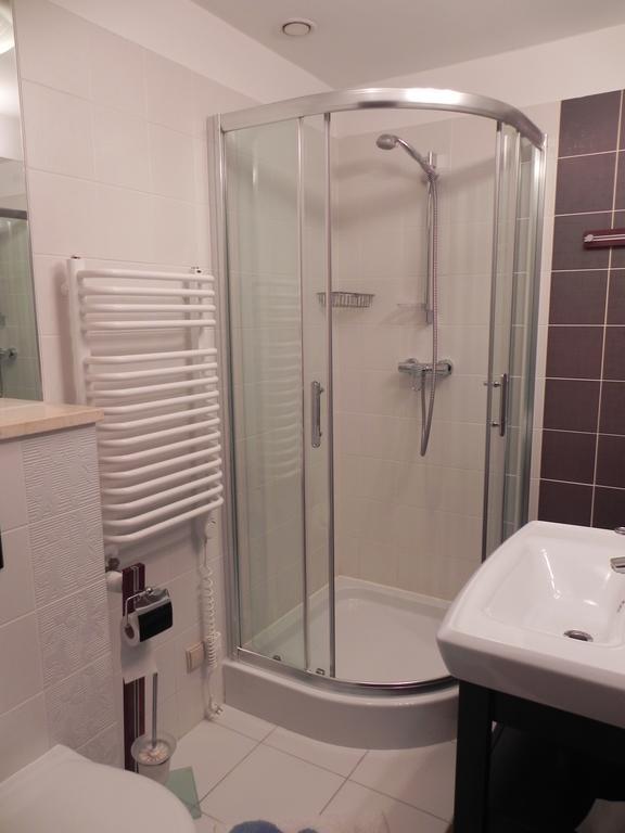 Apartament Brandy Radowid زاكوباني الغرفة الصورة